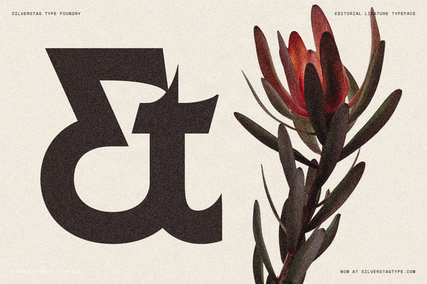 SLTF Arcilla OpenType et ligature — the stylistic et ampersand shown at monumental scale in dark brown on cream textured paper, alongside a vivid red protea flower. One of 40+ ligatures and alternates included with the typeface. Demonstrates the expressive glyph design accessible via liga and dlig OpenType features.
