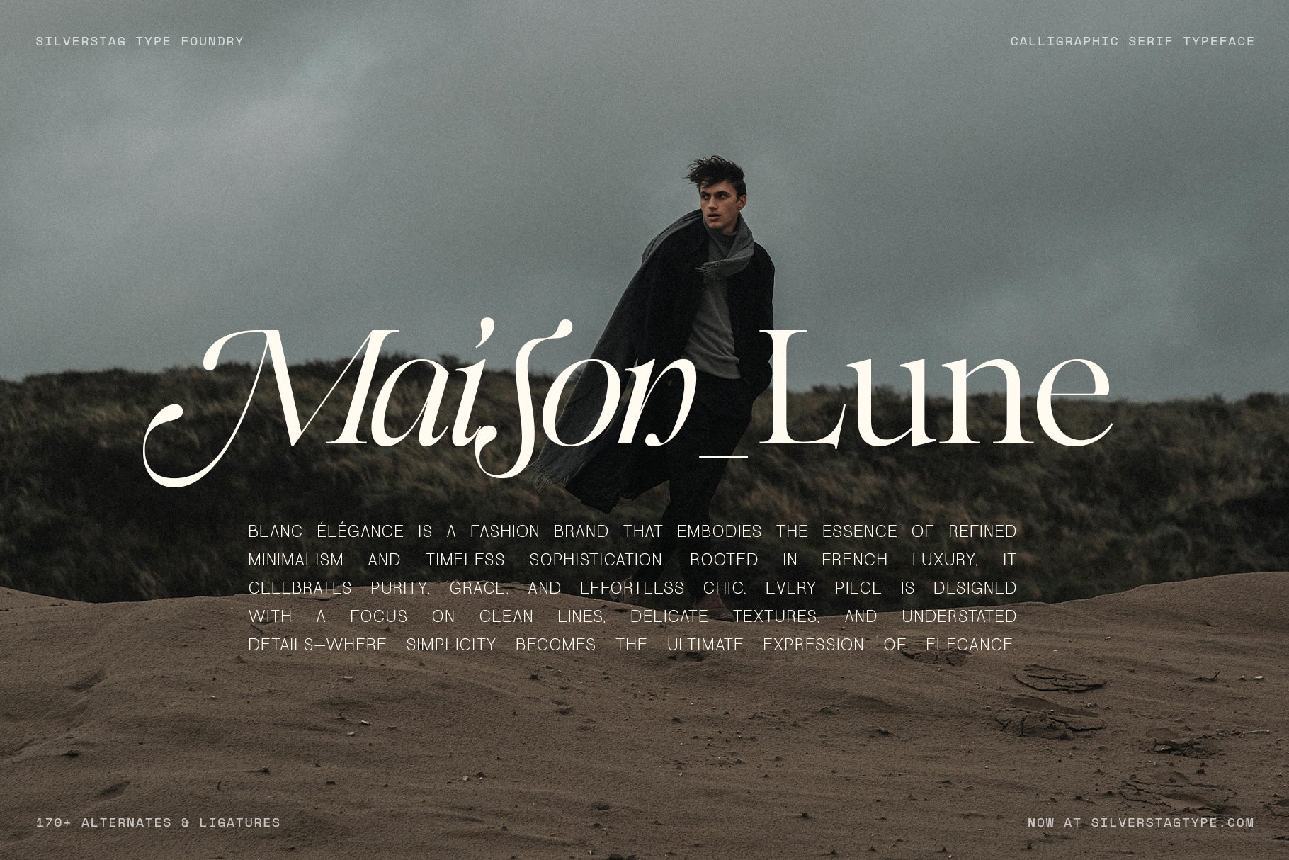 SLTF Netsera - Calligraphic Serif Typeface