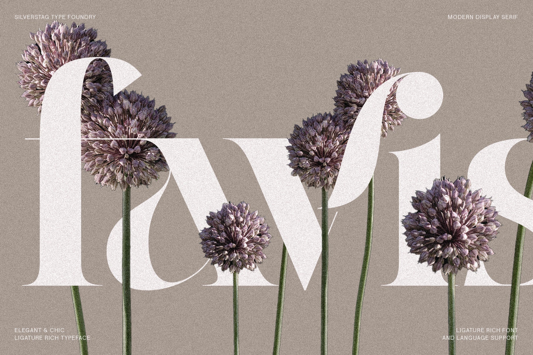 Raving – A High-Contrast Editorial Display Serif Font with 110+ Alternates