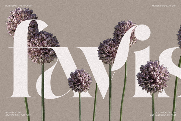 Raving - Editorial Display Serif Font