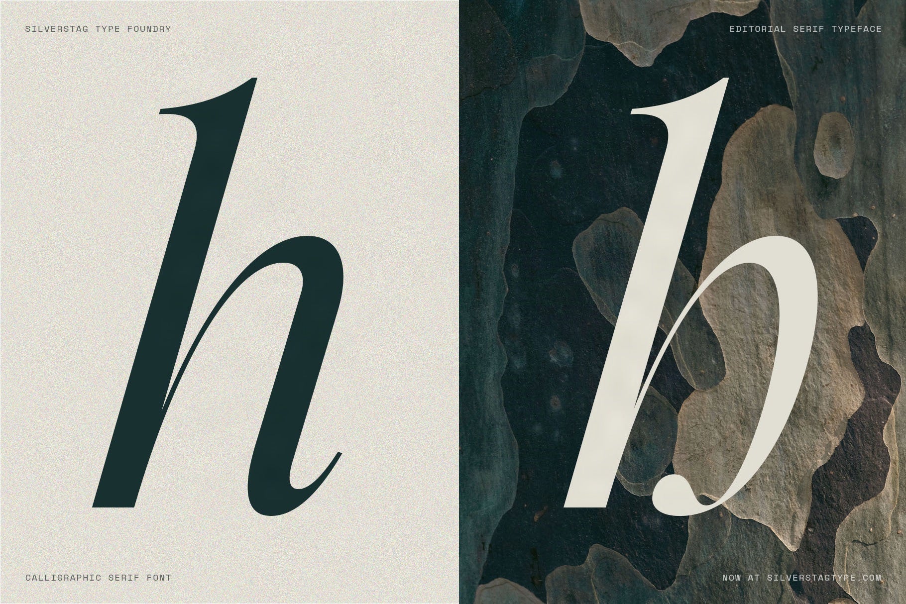 SLTF Netsera — Calligraphic Editorial Serif Typeface