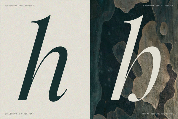 SLTF Netsera — Calligraphic Editorial Serif Typeface
