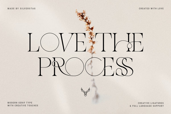 The French Kiss Royal Typeface