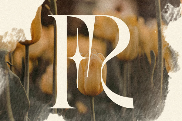 SLTF BOXROOM - Modern Serif Typeface