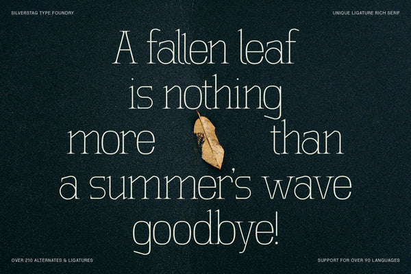 SLTF Winner Baroque - Ligature Rich Serif Typeface