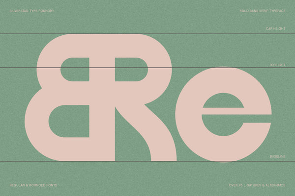 FlyBridge - Bold Ligature Rich Sans Serif Typeface