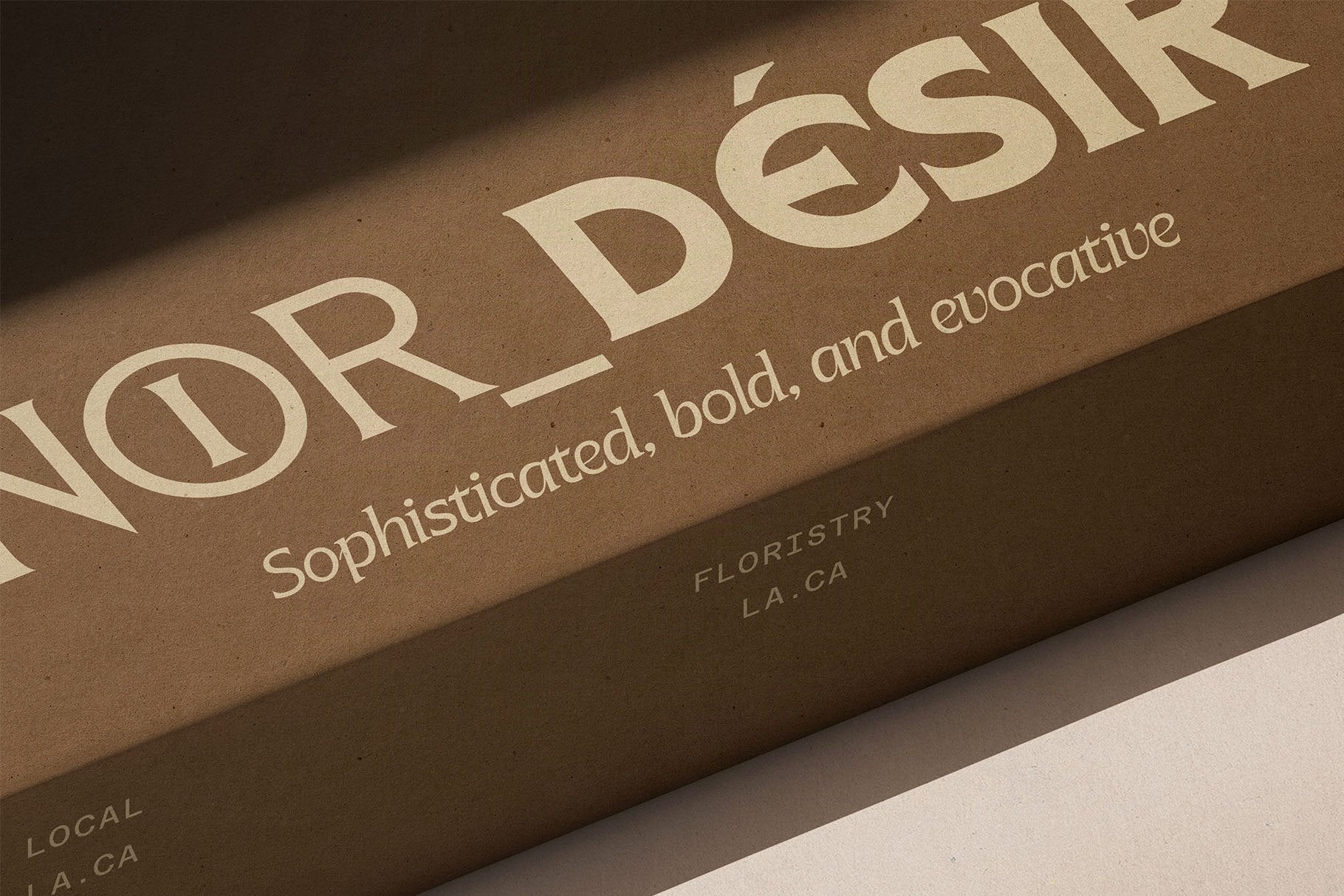 SLTF Arcilla Bold used in the Noir Désir packaging identity — the wordmark stamped in cream on dark kraft cardboard, photographed at an angle with a strong diagonal shadow. The subline reads sophisticated, bold, and evocative in Arcilla Italic. An example of Arcilla in premium retail and gift packaging design.