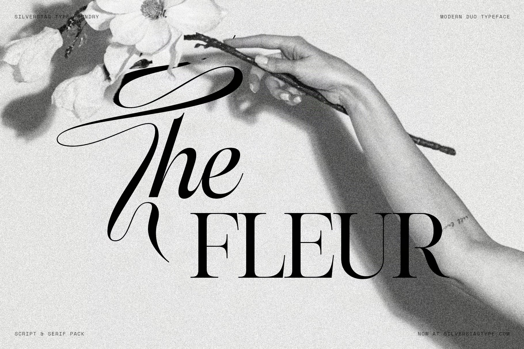 SLTF Hazel Shore - Modern Serif & Script Font Duo