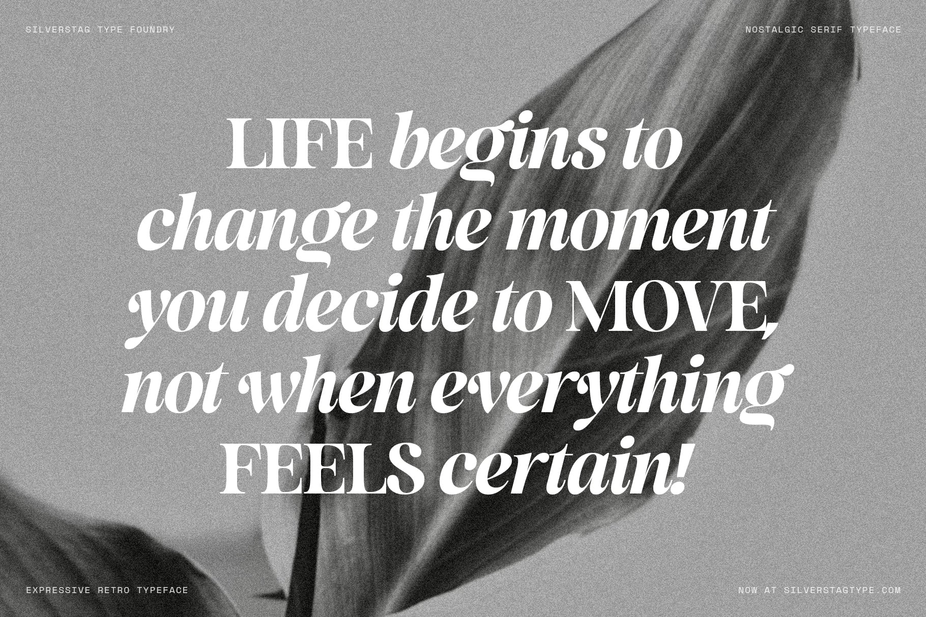 SLTF La Mystère - High Contrast Serif Font for Editorial Design