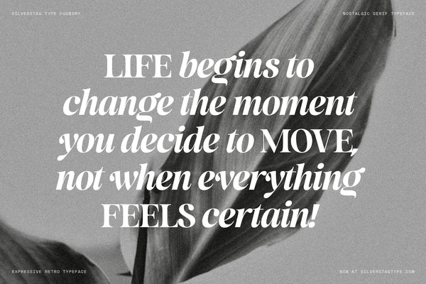 SLTF La Mystère - High Contrast Serif Font for Editorial Design
