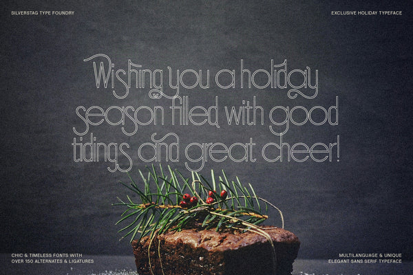 SLTF Holiday Whispers - A Soft Contemporary Serif