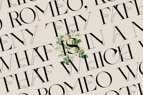 CEZANNE - Modern Ligature Serif Font