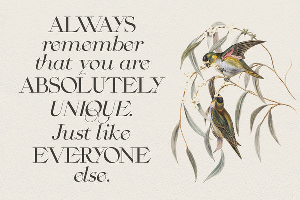 CINQUE TERRE | A Classic Serif Font