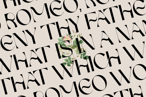 FRENCH CHATEAUX - Chic Display Font