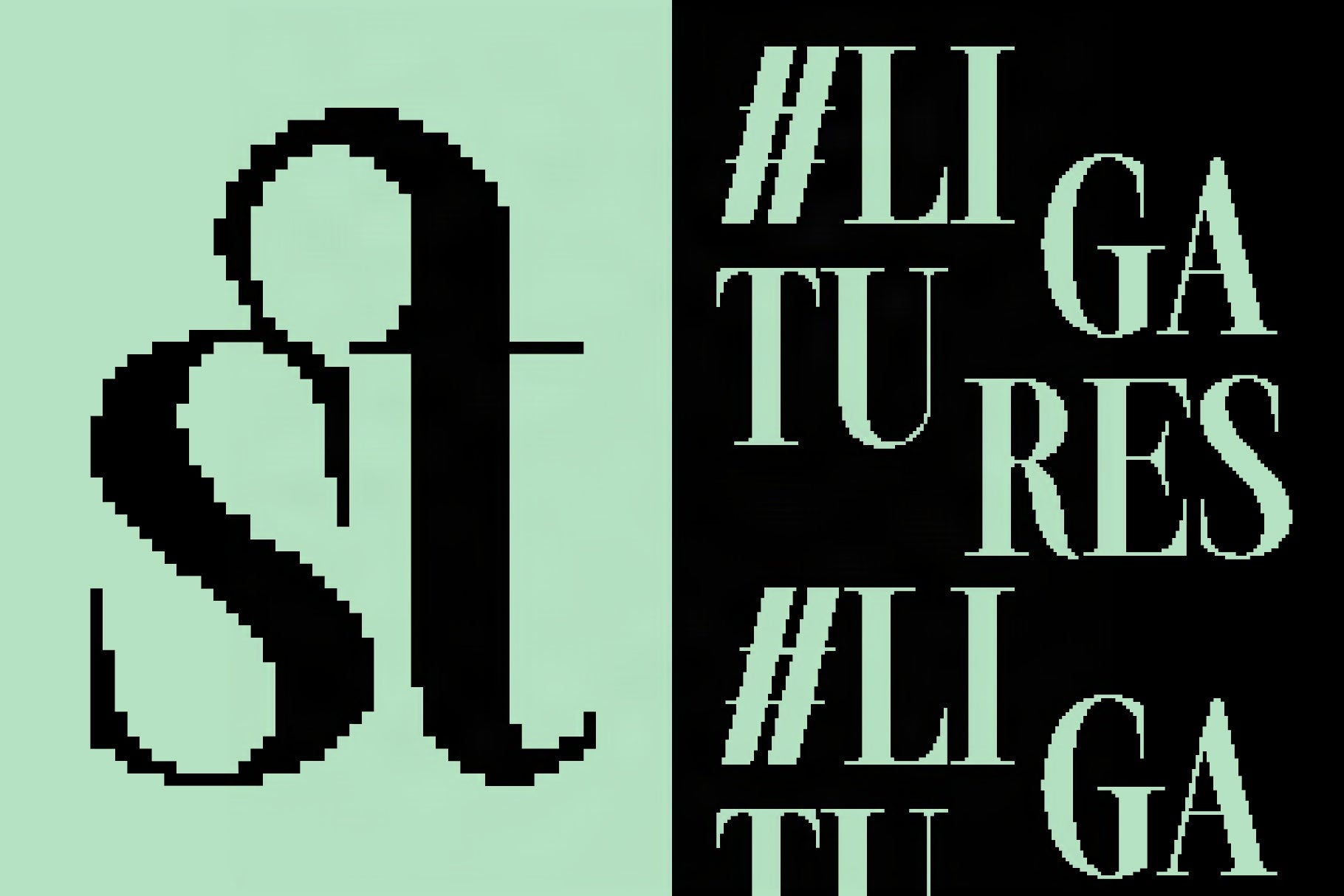 SLTF The Silver Editorial Pixel Version