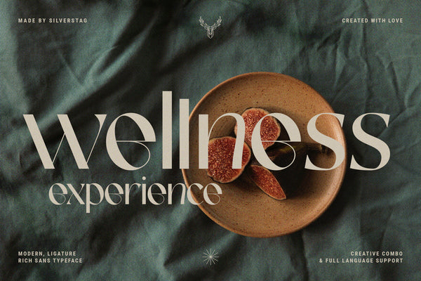FRENCH CHATEAUX - Chic Display Font