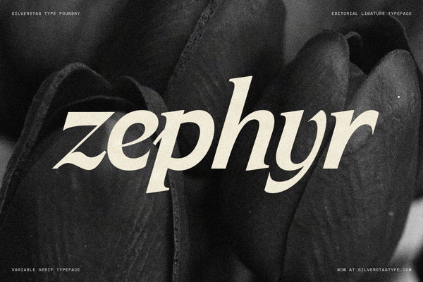 SLTF Arcilla Bold Italic specimen — the single word zephyr set in large cream letterforms against a close-up black and white photograph of dark curved leaves. The calligraphic italic z and y are particularly expressive at this scale. A strong editorial image demonstrating Arcilla in nature and lifestyle branding contexts.