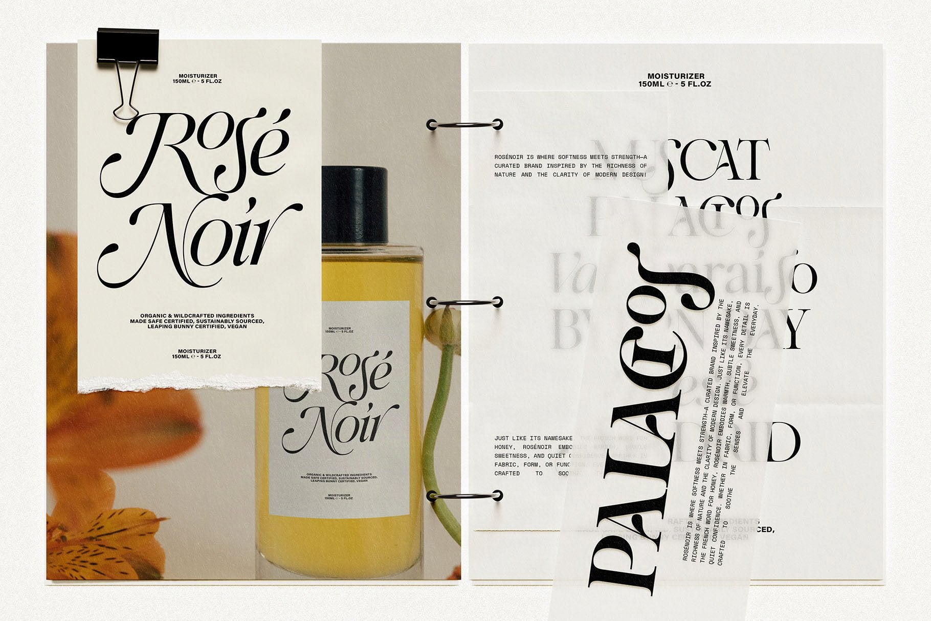 SLTF Netsera — Calligraphic Editorial Serif Typeface
