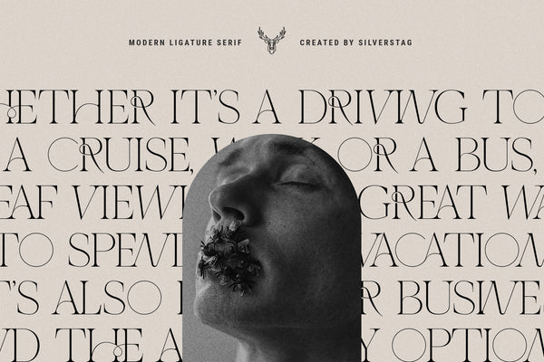 The French Kiss Royal Typeface