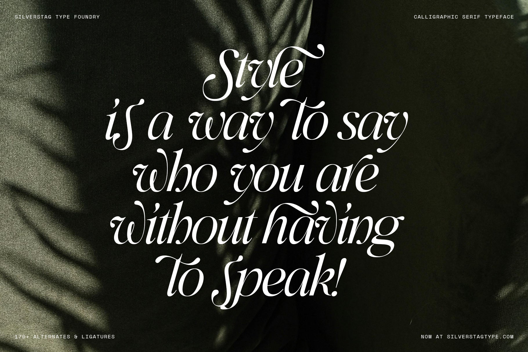 SLTF Netsera - Calligraphic Serif Typeface