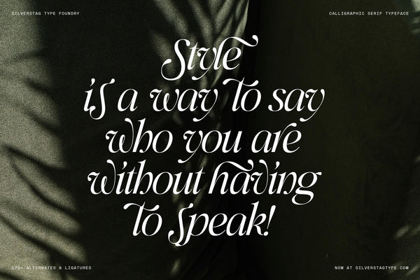 SLTF Netsera - Calligraphic Serif Typeface