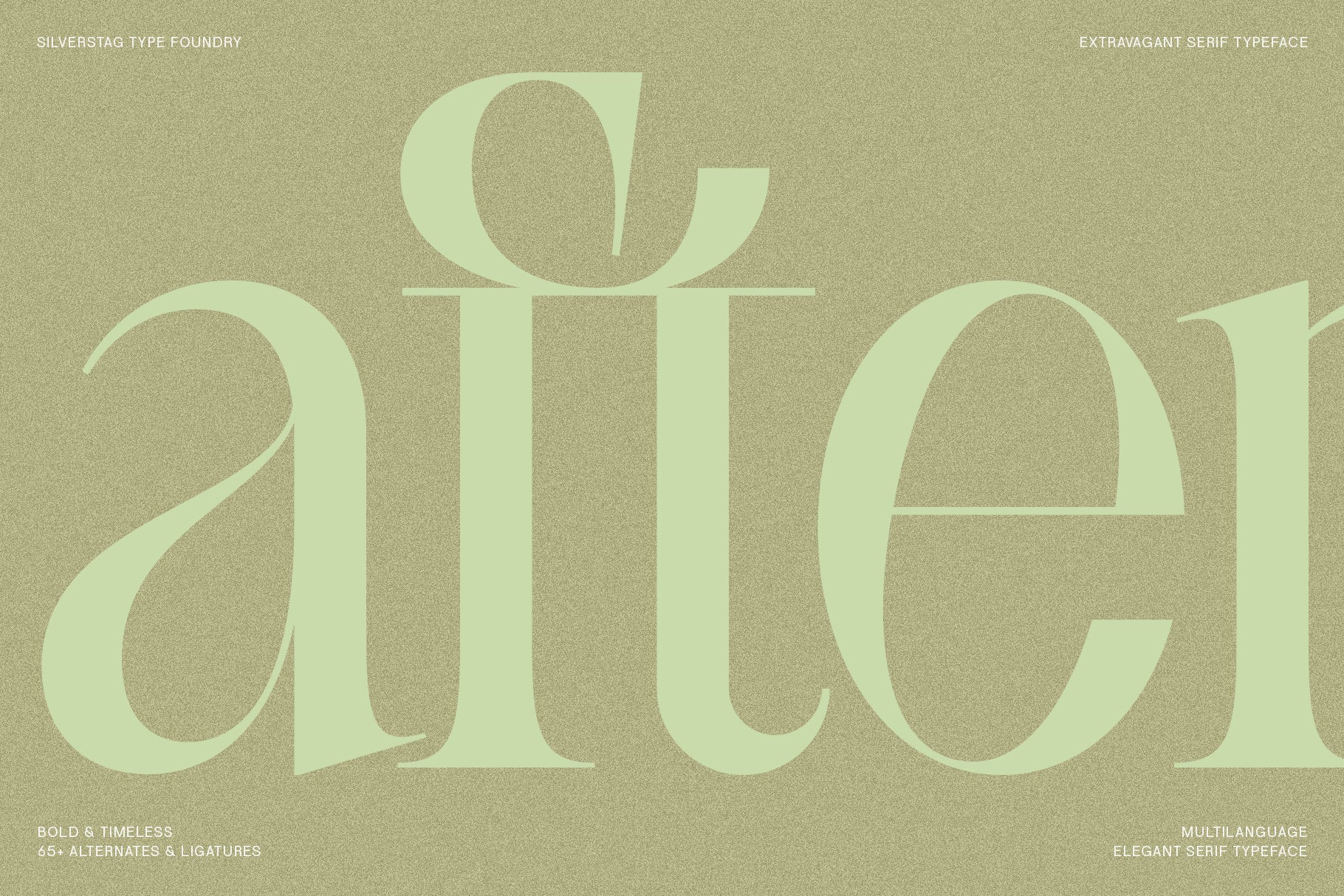 SLTF BOXROOM - Modern Serif Typeface