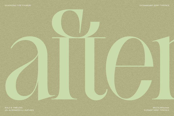 SLTF BOXROOM - Modern Serif Typeface