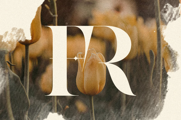 Raving - Editorial Display Serif Font