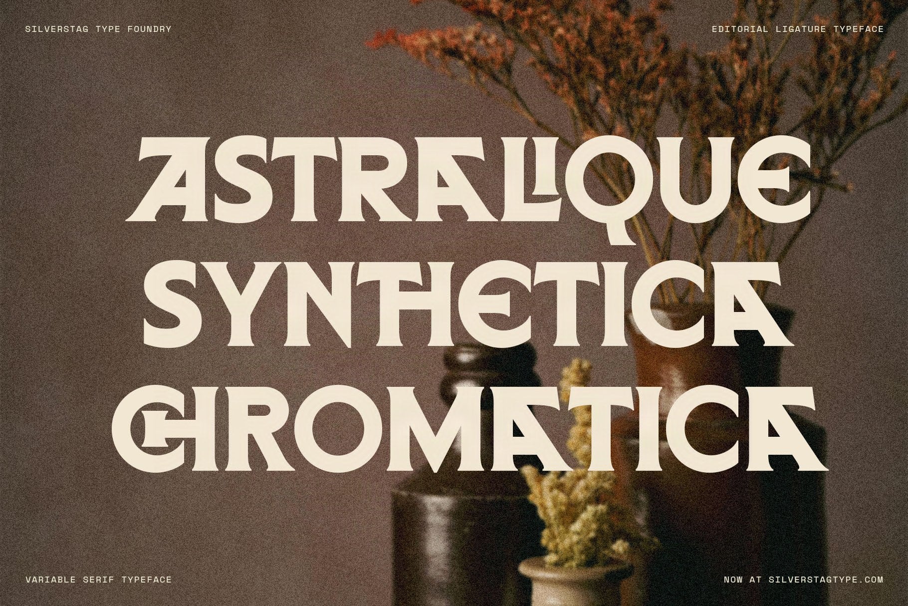 SLTF Arcilla Black weight at display scale — three invented words ASTRALIQUE, SYNTHETICA, and CROMATICA set in cream on a warm dark brown background with dried botanical stems. The full-width stacking shows the typeface's commanding presence at large sizes and its ability to anchor brand naming and poster design.