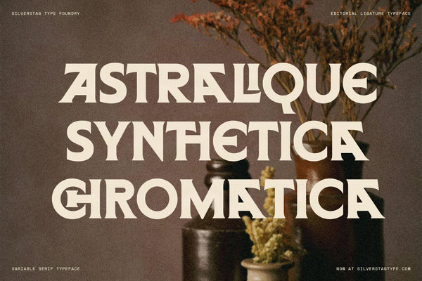 SLTF Arcilla Black weight at display scale — three invented words ASTRALIQUE, SYNTHETICA, and CROMATICA set in cream on a warm dark brown background with dried botanical stems. The full-width stacking shows the typeface's commanding presence at large sizes and its ability to anchor brand naming and poster design.