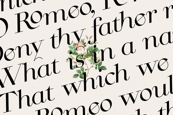 CINQUE TERRE | A Classic Serif Font