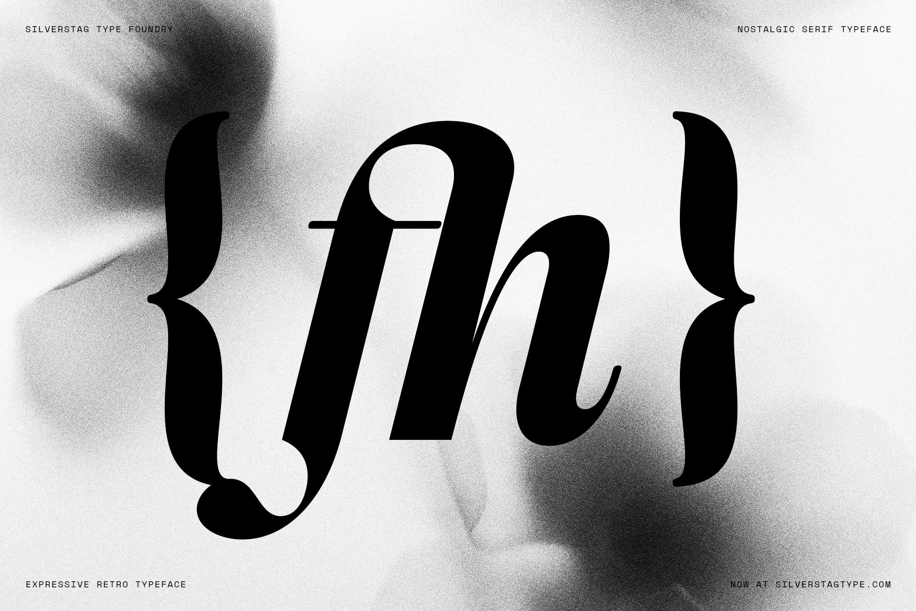 SLTF La Mystère - High Contrast Serif Font for Editorial Design
