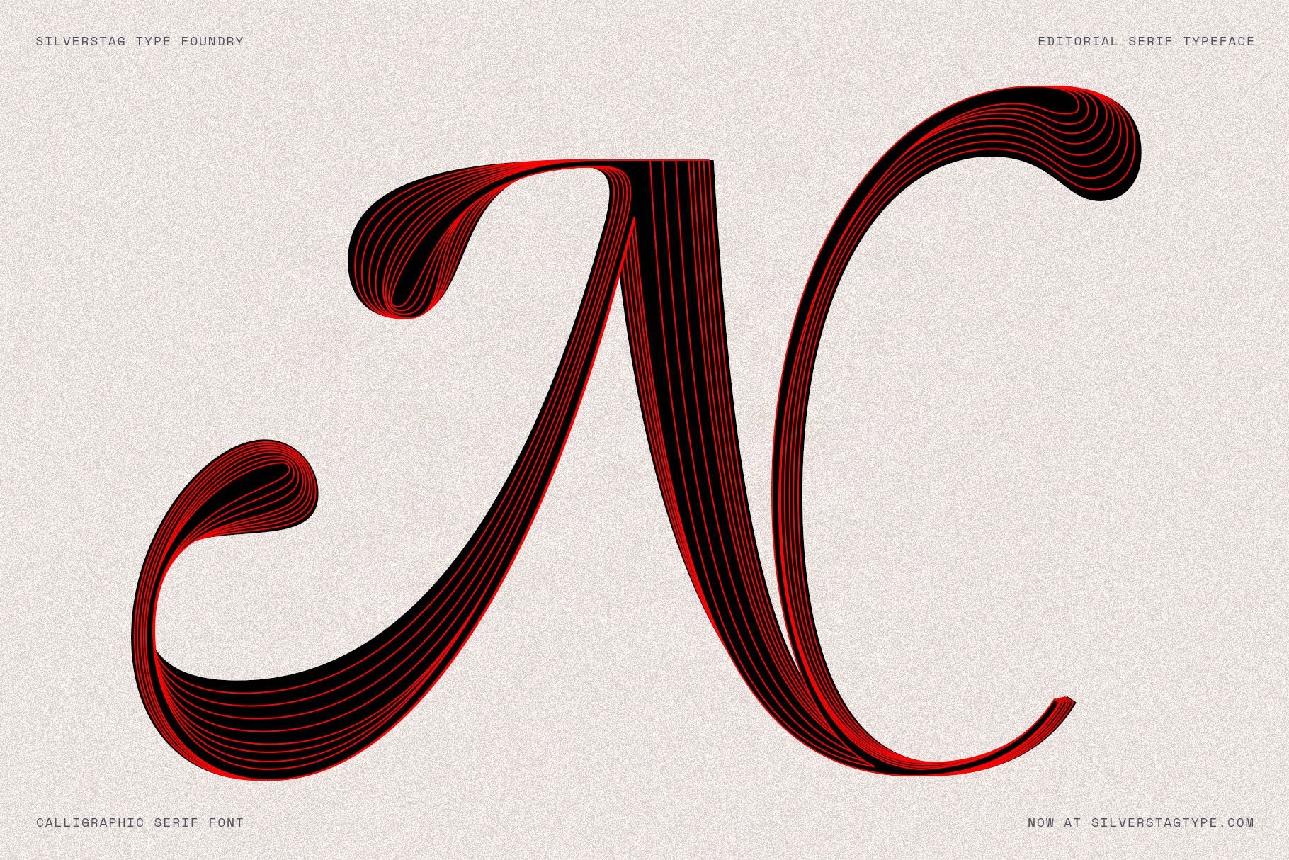 SLTF Netsera — Calligraphic Editorial Serif Typeface