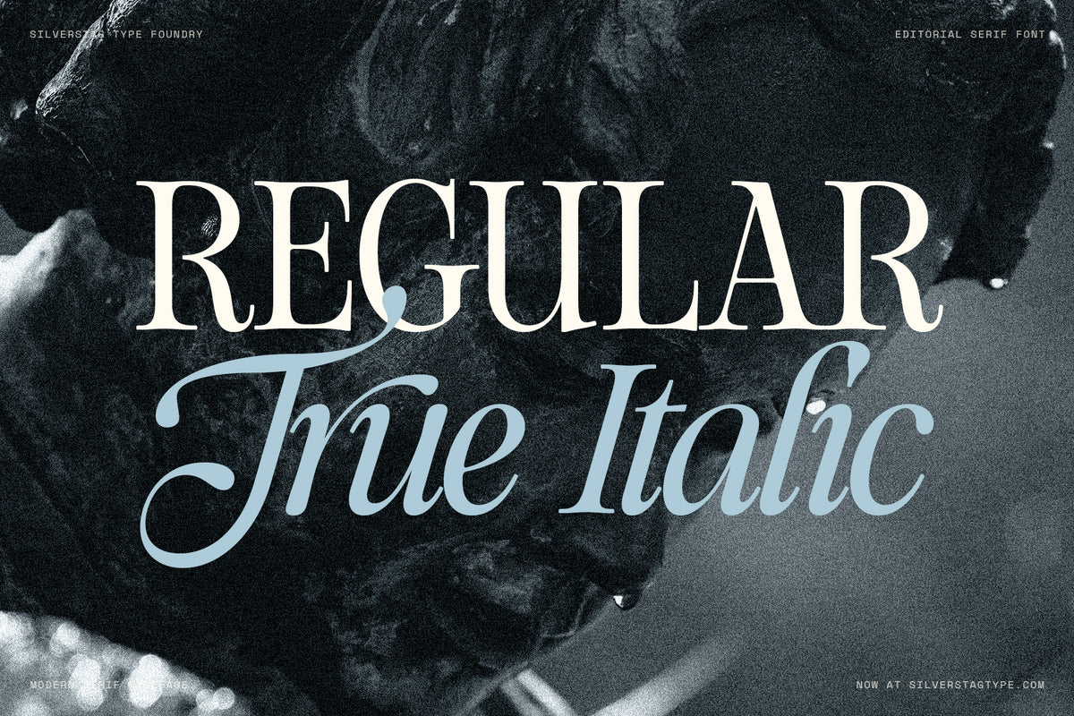 SLTF The Loneta Editorial - Calligraphic Editorial Serif
