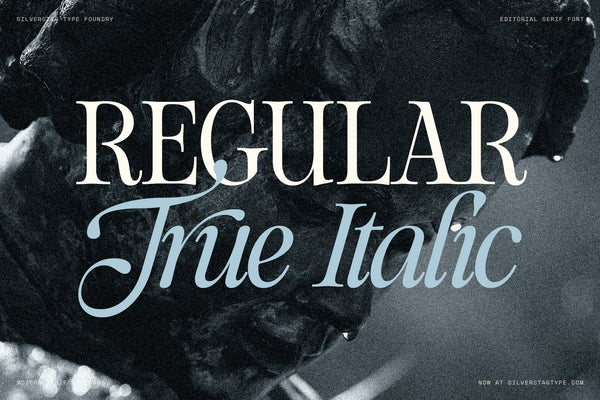 SLTF The Loneta Editorial - Calligraphic Editorial Serif