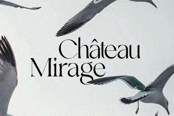 SLTF Night Windfall - Sans & Serif Font Duo