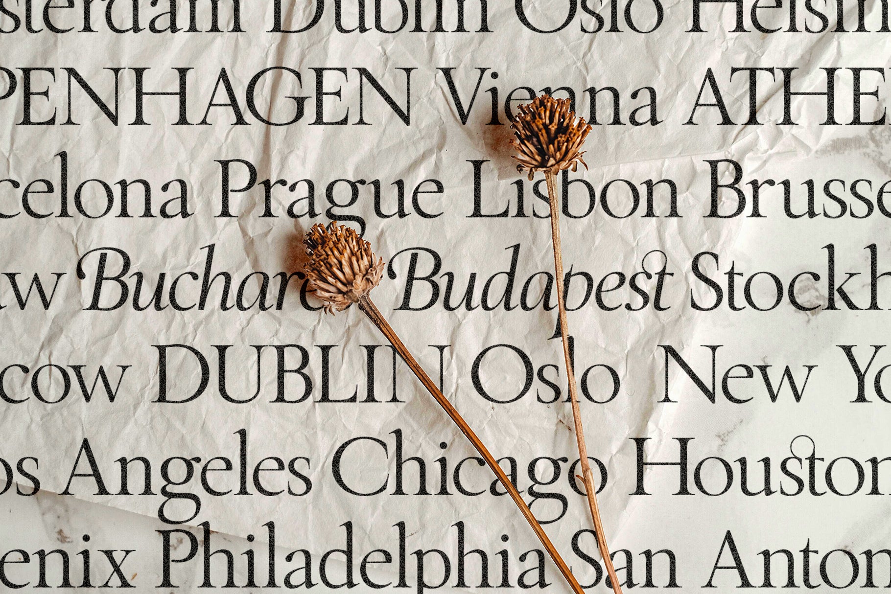 Roman Letterforms SLTF The Roman Edition – A Classical Serif Typeface with Editorial Finesse