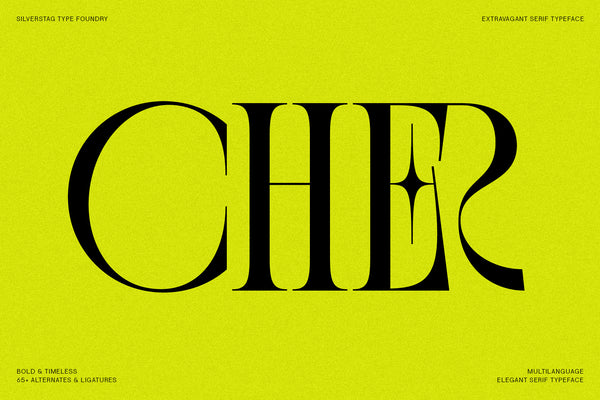 SLTF BOXROOM - Modern Serif Typeface