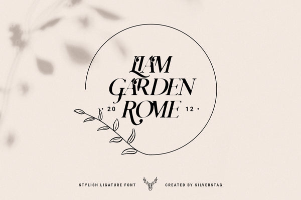 Charles - Ligature Serif Font Family