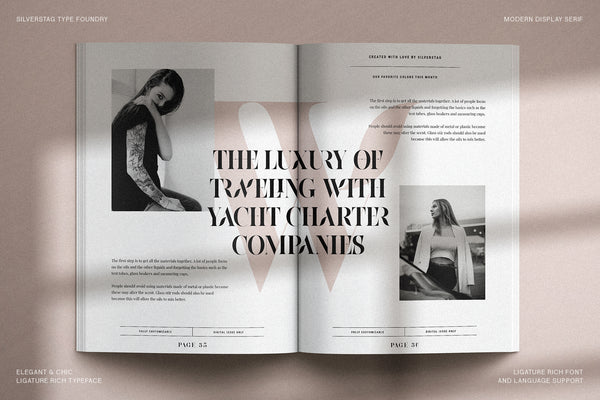 Raving - Editorial Display Serif Font