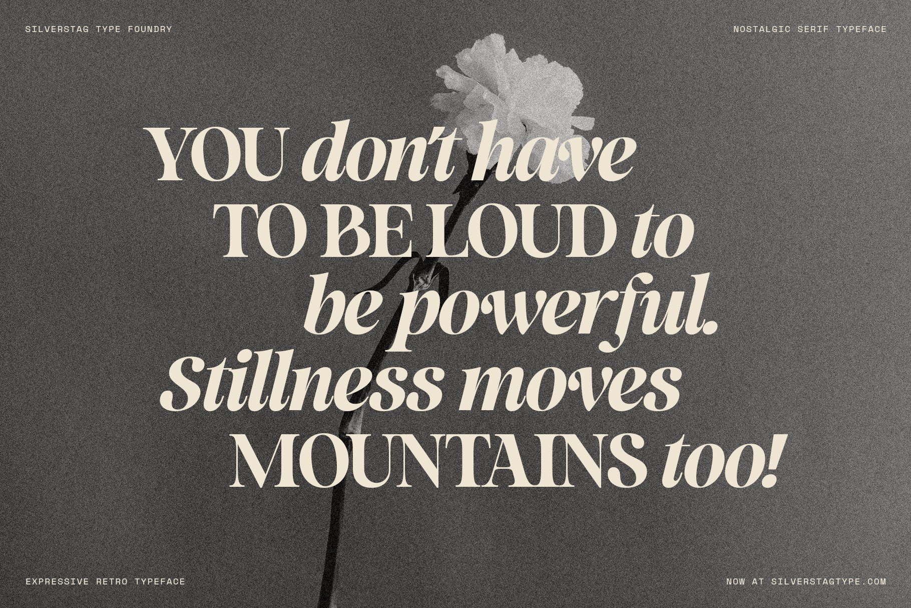 SLTF La Mystère - High Contrast Serif Font for Editorial Design
