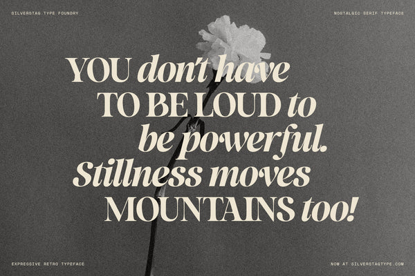 SLTF La Mystère - High Contrast Serif Font for Editorial Design