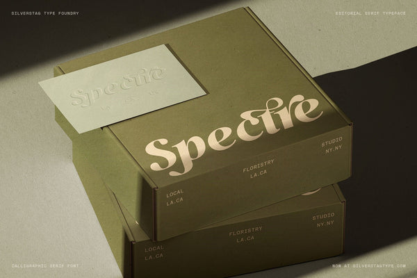 SLTF Netsera — Calligraphic Editorial Serif Typeface