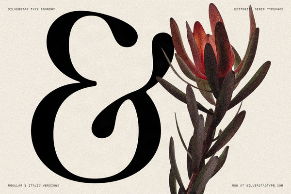 Large black SLTF The Brachen calligraphic ampersand beside a dried red protea flower stem on a cream textured background