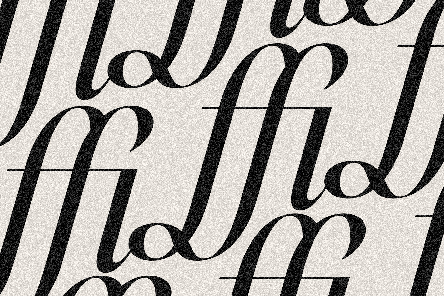 SLTF Netsera - Calligraphic Serif Typeface