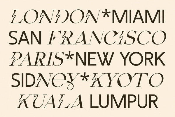 Fleur Display - Sans & Serif Font Duo