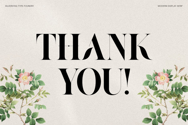 Raving - Editorial Display Serif Font