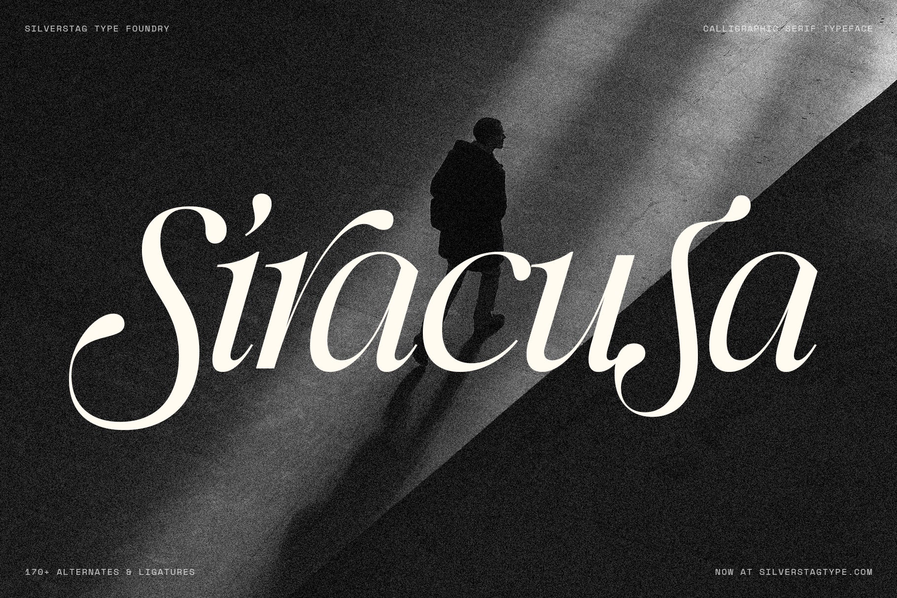 SLTF Netsera - Calligraphic Serif Typeface