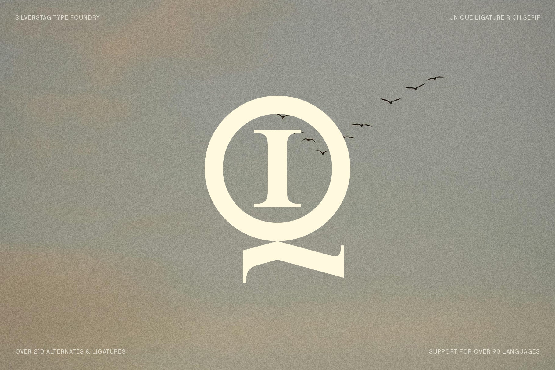 SLTF Winner Baroque - Ligature Rich Serif Typeface