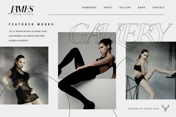 Charles - Ligature Serif Font Family